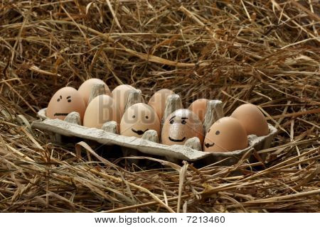 Smiley eggs in pack on haystack