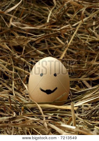 Smiley egg in nest