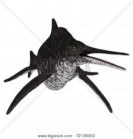 Ichthyosaur Shonisaurus