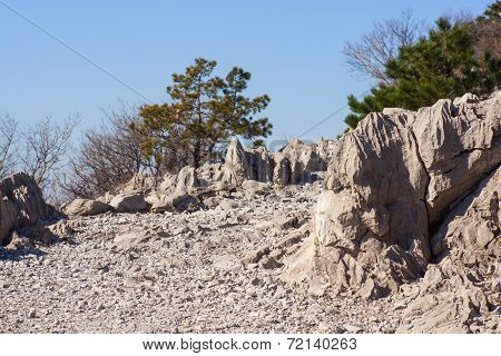 The Rilke Trail