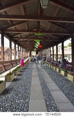 The Alpini  Bridge