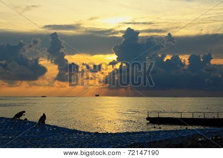 sunset on the pier