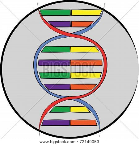 Adn structure