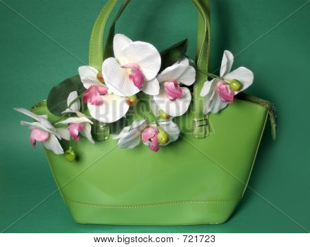 春の財布