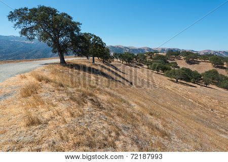 Dirt Road
