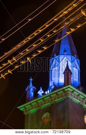 Group of birds standing on street cables