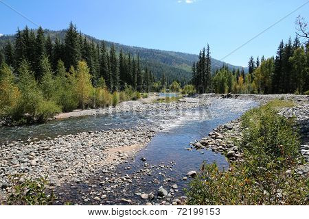 Vallecito Creek