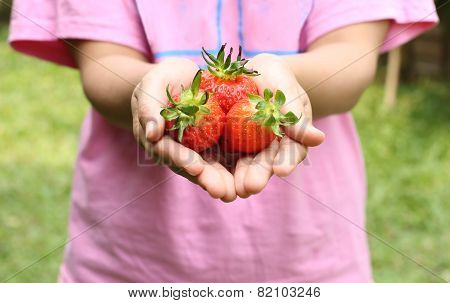Women Holding A Ripe Strawberries