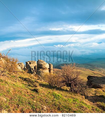 Rocky Mountain View