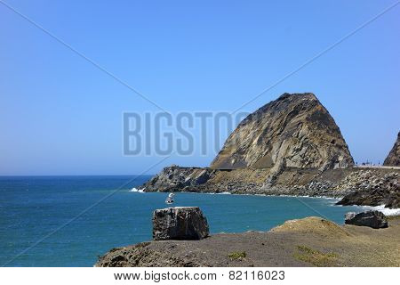 Seagull Overlooking Point Mugu, Ca