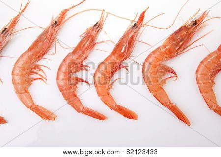 Row Of Spanish Rice Shrimps