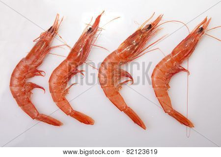 Row Of Spanish Rice Shrimps