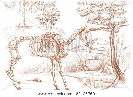 Legendary Animals And Monsters: Unicorn