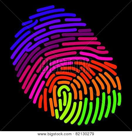 A stylized rainbow fingerprint