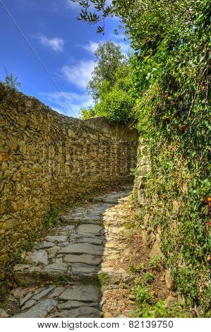 Footpath In Cinque Terre National Park