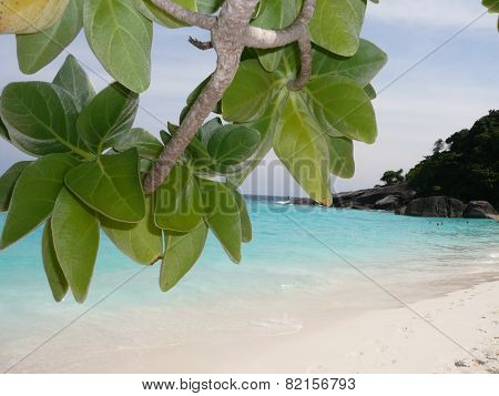 Thailand island similan