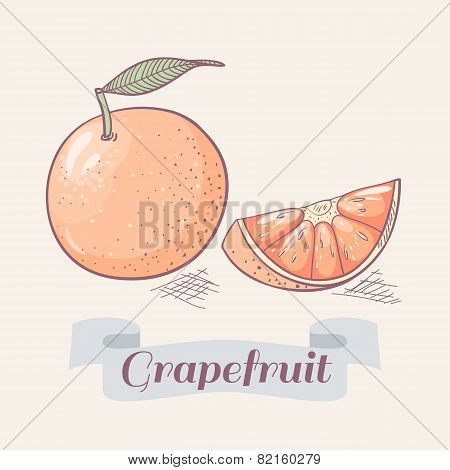 Grapefruit Vector Illustration