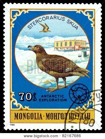 Vintage  Postage Stamp.  Stercorarius Skua.