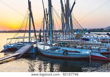The Boats