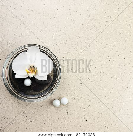 White Orchid Flower In Glass Vase With Water And Stones.