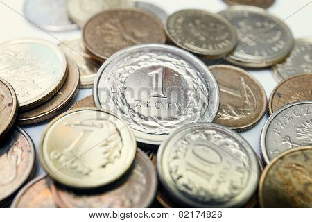 Polish Zloty Coins, Close Up