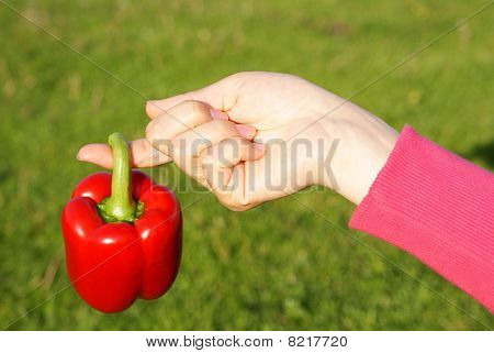 Paprika