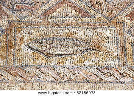 Ancient Mosaic In Kourion, Cyprus
