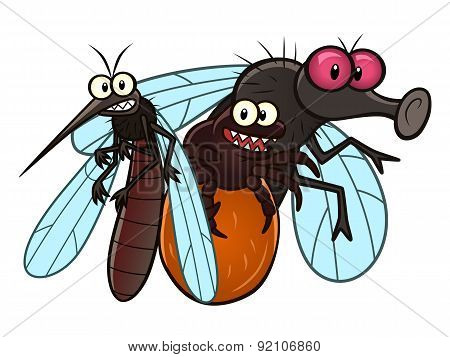 Spring And Summer Parasite Insects
