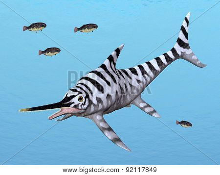 Ichthyosaur Eurhinosaurus