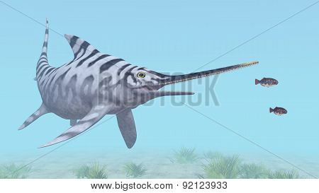 Ichthyosaur Eurhinosaurus
