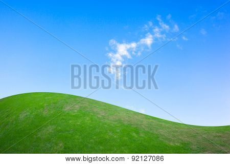 green field and