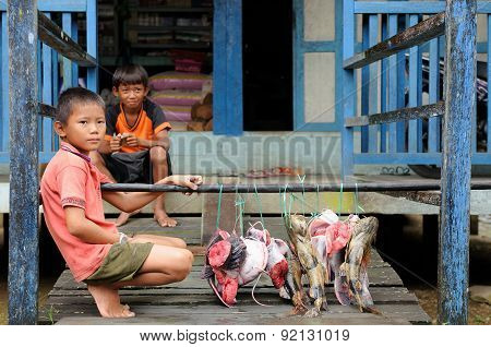 Young Boys Selling Fresh Fishes In Indonesia