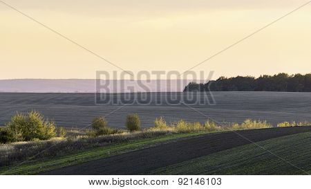 Agricultural Field