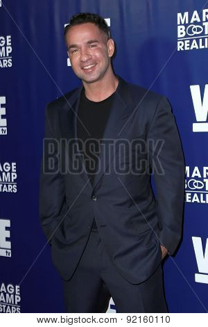 LOS ANGELES - MAY 28:  Mike Sorrentino at the WE tv's 