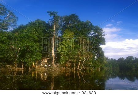 Dżungla Hut w Borneo