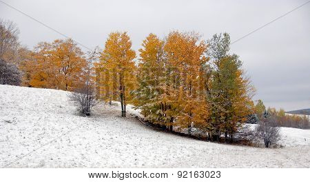 Late fall landscape