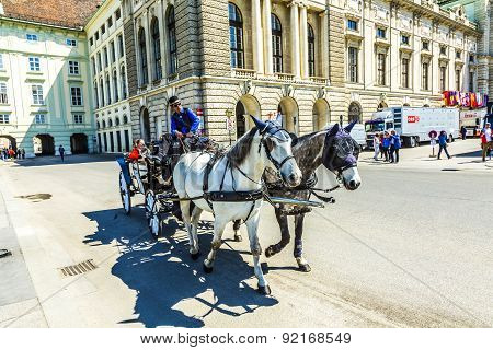City Center Street View, People Walking And Fiaker With White Horses In Vienna