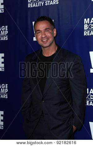 LOS ANGELES - MAY 28:  Mike Sorrentino at the WE tv's 