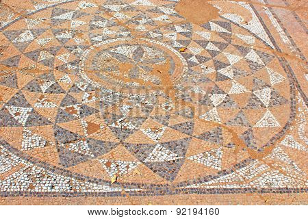Ancient Greek Mocaic In Palaestra Of Dion, Pieria, Greece