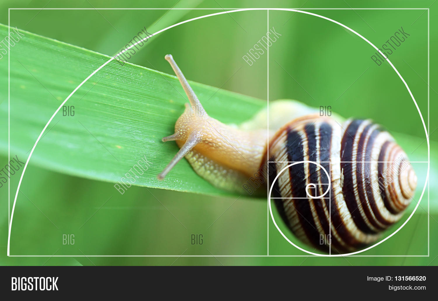 Illustration Golden Image & Photo (Free Trial) | Bigstock