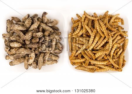 Fried crickets locust molitor insects, in white plate