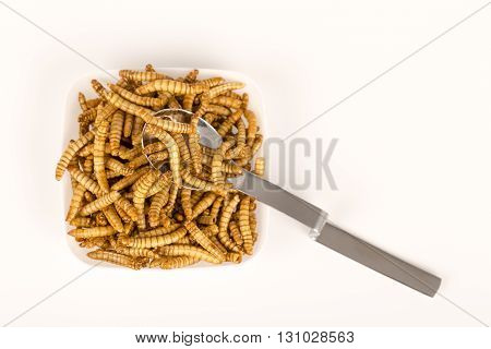 Plate of fried insects with spoon. molitors, Protein rich future food