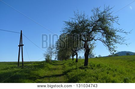 Landscape in spring south of Bohemia near Kdyne town