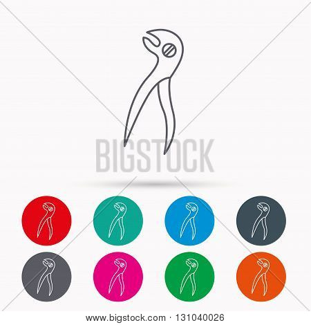 Dental pliers icon. Stomatological forceps tool sign. Linear icons in circles on white background.