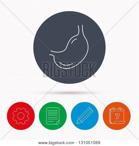 Stomach icon. Gastroscopy health sign. Anatomical body organ symbol. Calendar, cogwheel, document file and pencil icons.