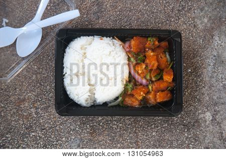 spicy salmon salad and rice in box lunch