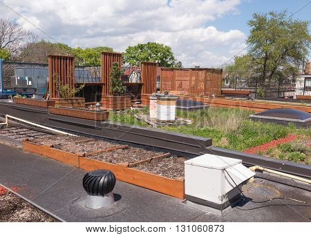 Rooftop garden in urban setting with beehive
