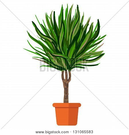 Vector illustration plant in pot. Palm tree