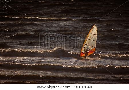 windsurf