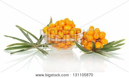 A bowl of fresh berries of sea buckthorn, bunch isolated on white background.